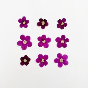 Fleurs de framboise pressées - 9 fleurs de framboise rose pourpre - vraies fleurs - travaux manuels, résine, bijoux, décoration de mariage, bougie, cartes (F/RASP 1)
