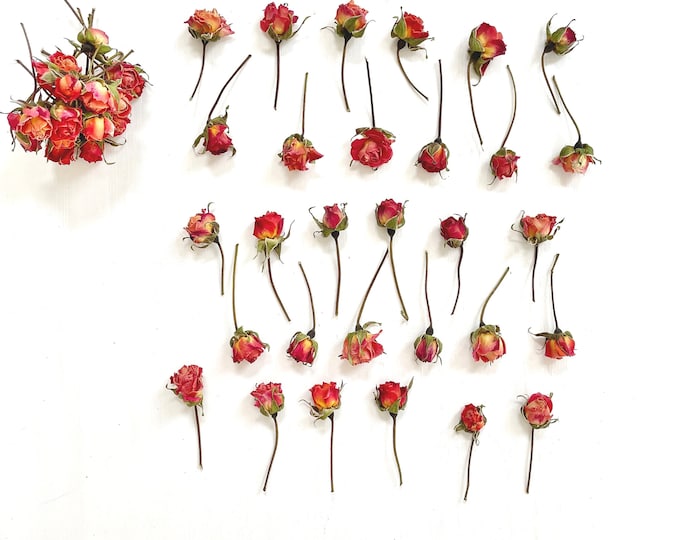 Mini Rose Spray, Preserved Mini Roses, Wedding Flowers, Home Decor ...