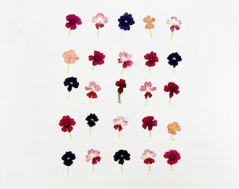 Può includere: Uno sfondo bianco con una griglia di 25 fiori pressati. I fiori sono in tonalità di rosa, viola e blu.