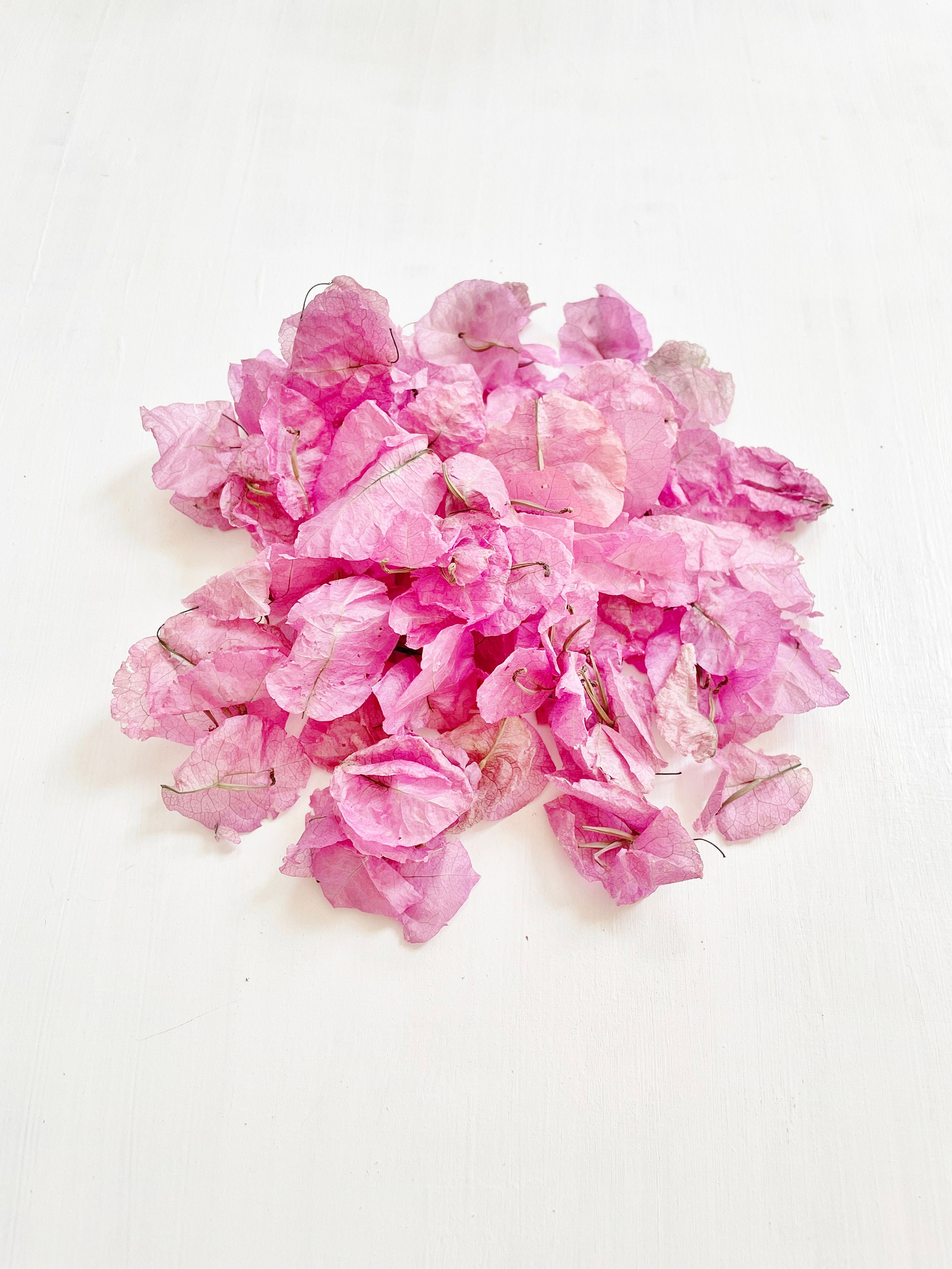 Dried Bougainvillea-hot pink