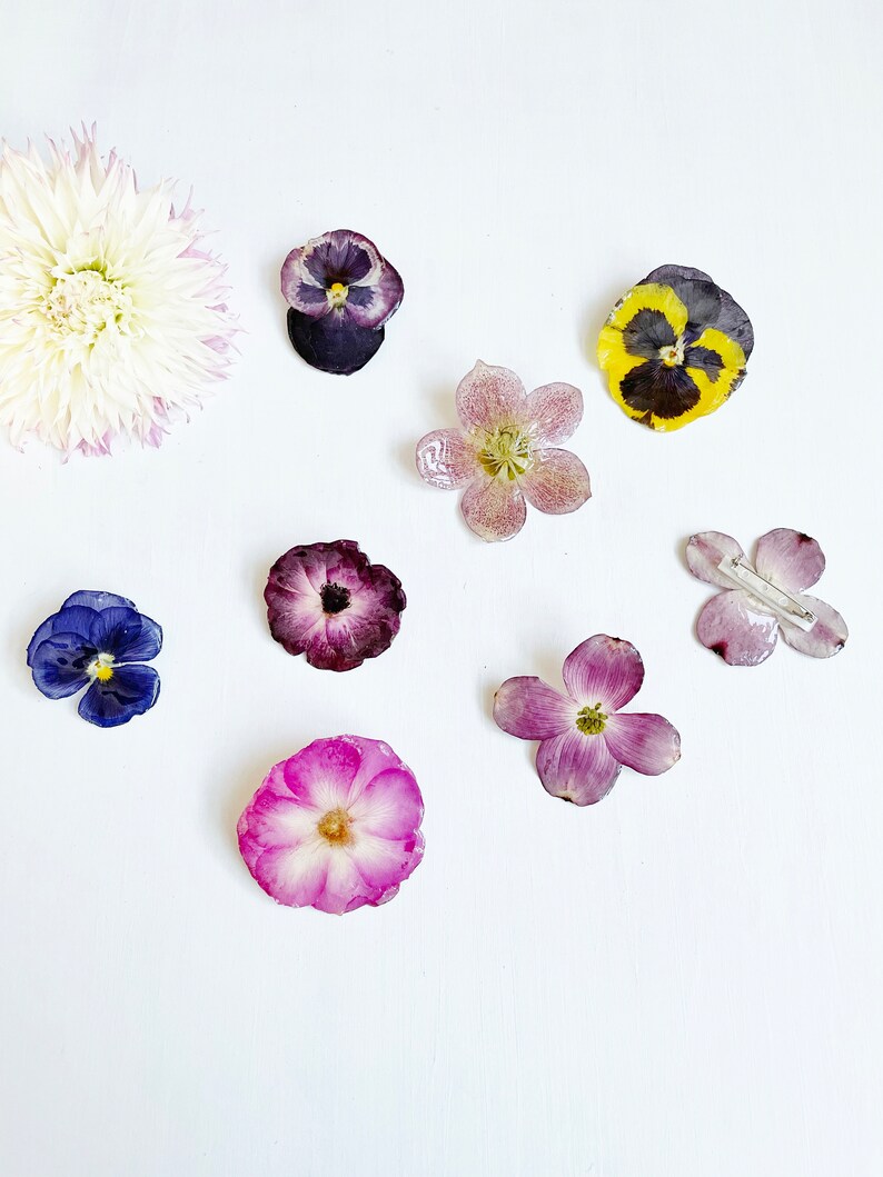 May include: Assortment of pressed flowers in various colors and shapes, including purple, pink, yellow, and white. The flowers are arranged on a white background.