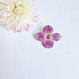 May include: A single white dahlia with pink tips on the petals and a single purple dogwood flower with a yellow center on a white background.