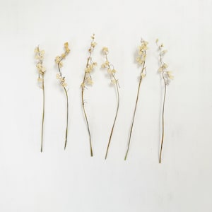 Muguet séché - 3 vraies tiges de fleurs avec grelots - Fleur de naissance de mai - travaux manuels, résine, bijoux, mariage, bougies, savon (D/LILY 1)