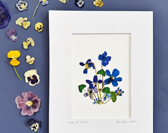 Violette selvatiche del New Jersey - stampa firmata di violette pressate - fiore dello stato - stampa 5x7 con passepartout 8x10 - decoro floreale (M/PRIN VIO 1)