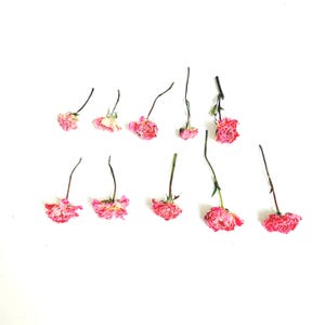 Dried mini roses on small stems - tiny pink roses - real flowers - grown in NJ - crafts, resin, wedding decor, cake decor (D/ROSE 6)