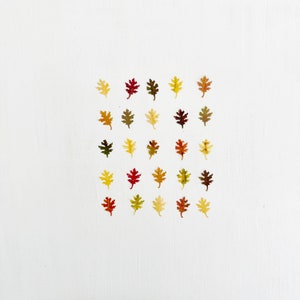 May include: A white background with a grid of 25 small, colorful, paper leaves. The leaves are in various shades of red, orange, yellow, and green.