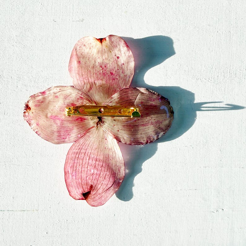 Pressed dogwood brooch - real dogwood flower in resin - white, pink, or purple dogwood - handmade resin flower jewelry (J/BROO DOG 1) image 10