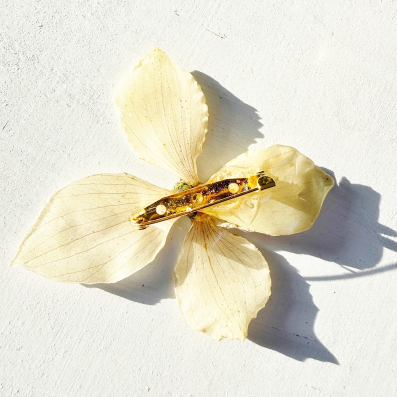 Pressed dogwood brooch - real dogwood flower in resin - white, pink, or purple dogwood - handmade resin flower jewelry (J/BROO DOG 1) image 4