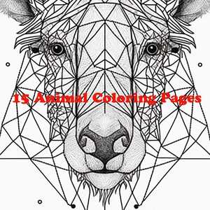 15 Animal Coloring Pages PDF