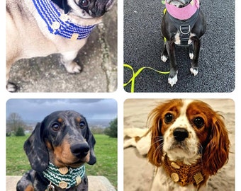 16 colours perfectly cosy dog snood