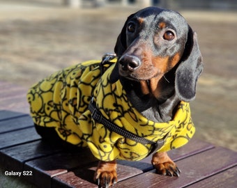 40 patterns dachshund fleece jumper