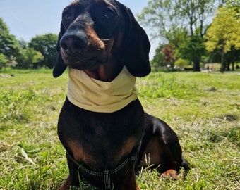 Handmade dog cooling snood