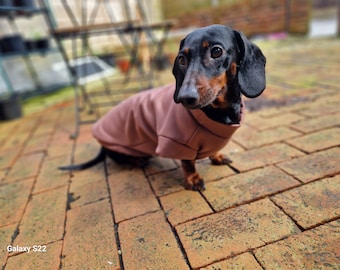 35 colours dachshund sweatshirt