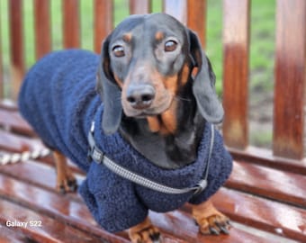 6 colours dachshund boucle jumper