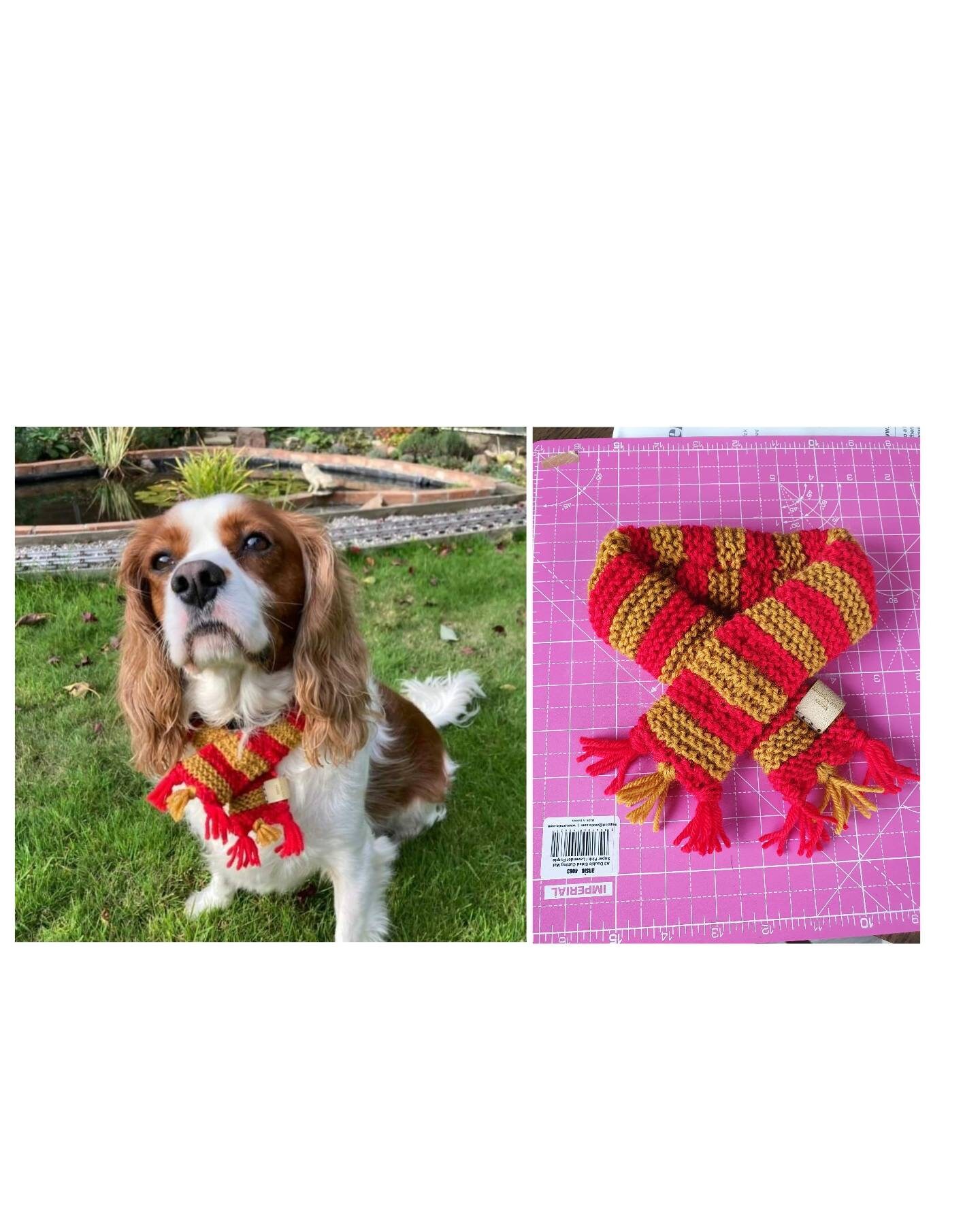 Harry potter cheap dog scarf