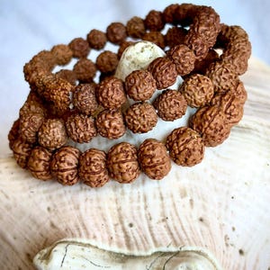 5 Mukhi Rudraksha Armband | 6 mm 8 mm 10 mm Perlen | Meditation & Heilung Armband | Handmade Yoga Schmuck | Hinduistisches spirituelles Armband