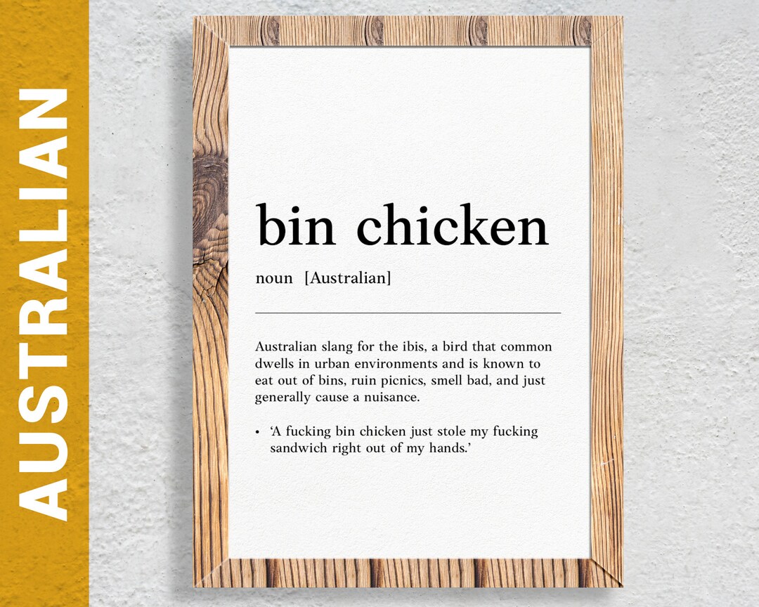 Bin Chicken Funny Australian Slang, Phrase and Humor Definition for