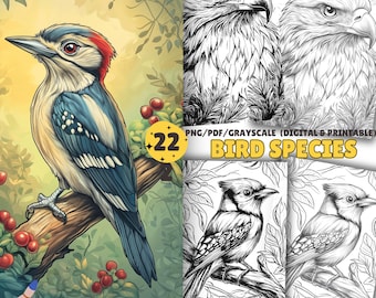 22 Birds Coloring Pages, Coloring Book, PDF, PNG and Grayscale, Adult and Kids, Relaxing pages, Digital and Printable PDF, Digital Download