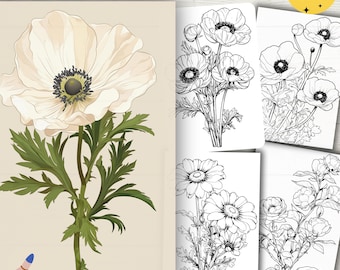May include: A set of 60 printable coloring pages featuring wild flowers. The pages include a single white anemone flower, a bouquet of anemones, a bouquet of daisies, and a bouquet of small white flowers.