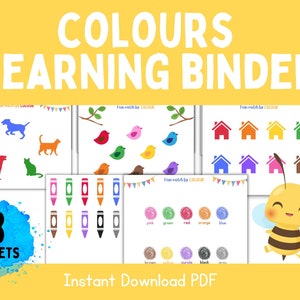 Colour Matching Busy Book for Preschool, Toddler Learning Binder, Pre K Learning Activities, Preschool Binder, Busy Book for Toddler