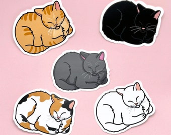 Autocollants mignons de pain de chat orange, noir, calico, blanc, gris mat