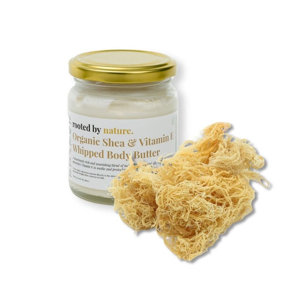 Whipped Shea with Sea Moss and Vitamin E  | Organic Cocoa Butter and Jojoba | 100% Natural