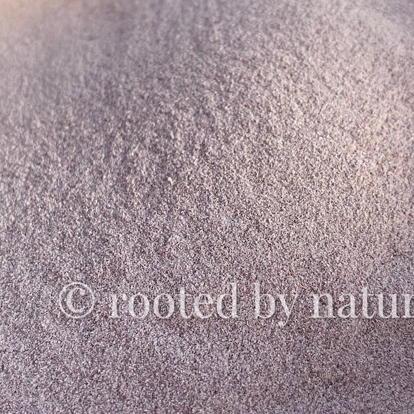 Sea Moss Powder Purple St Lucia | Premium Quality | Direct Supplier | 100% Natural | Wholesale