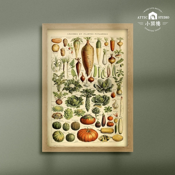 Vintage Potager Poster, Vegetables - Adolphe Millot Illustration/Educational Diagram/Vintage mammals print, vegetables Poster, Botanical art