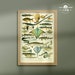 see more listings in the Botanical Arts section