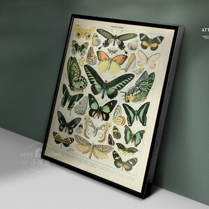 Vintage Butterfly Print Adolphe Millot Poster Framed Poster/Homedeco/Botanical Illustration Butterfly/Wood Framed wallart image 3