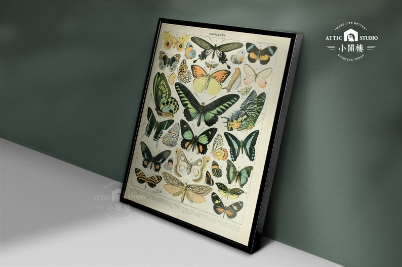 Vintage Butterfly Print Adolphe Millot Poster Framed Poster/Homedeco/Botanical Illustration Butterfly/Wood Framed wallart image 3