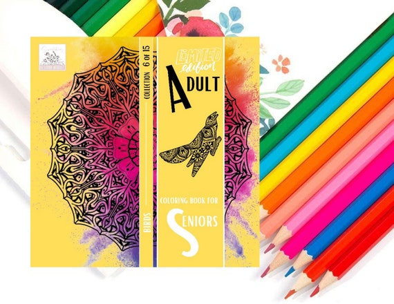 Adult Coloring Book for Seniors: an Amazing Collection of Fun and Simple  Mandala Bird Designs to Color Includes Color Pencils 