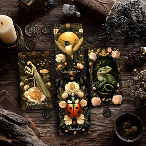 Op de afbeelding: Vier rechthoekige orakelkaarten met natuurillustraties. E&eacute;n kaart toont een bidsprinkhaan met de tekst Embrace Stillness, &eacute;&eacute;n een kolibrie met Upliftment and Joy, &eacute;&eacute;n een hagedis met Wisdom en &eacute;&eacute;n een lieveheersbeestje met de tekst Guidance.