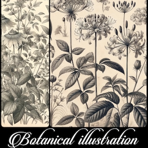 Ensemble vintage de gravures botaniques : style antique noir et blanc (téléchargement numérique)