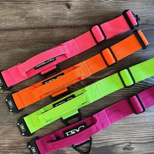 Può includere: Quattro collari per cani dai colori vivaci: rosa, arancione, verde neon e magenta. Ogni collare ha una fibbia in metallo nero e un'impugnatura. Il testo "EVERYWHERE DOG GEAR" è visibile su un collare.