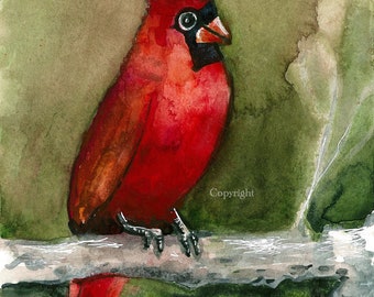 CAROLINE’S CARDINAL | Cardinal | Birds | Watercolor Print | Giclee Fine Art Print by Holly Maxwell