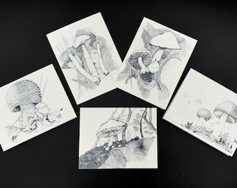 MUSHROOM Collection | Note Cards by Holly Maxwell