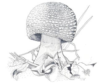 MUSHROOM 4 | Note Card by Holly Maxwell