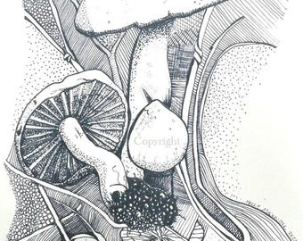 MUSHROOM 3 | Note Card by Holly Maxwell