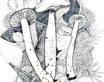 MUSHROOM 2 | Note Card by Holly Maxwell