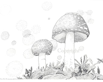 MUSHROOM 5 | Note Card by Holly Maxwell