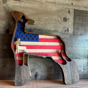 Show Market Lamm USA Flagge zeigen Girl Boy