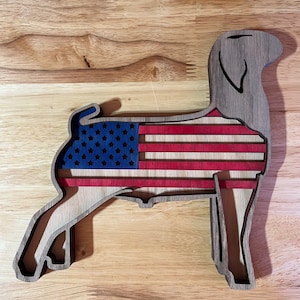 Show Market Goat USA Flag Show Girl Boy buyer gift