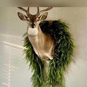 K&ouml;nnte beinhalten: Ein pr&auml;parierter Hirschkopf an der Wand, geschm&uuml;ckt mit einem gr&uuml;nen, blattreichen Kranz. Der Hirsch hat braunes Fell, ein Geweih und eine detaillierte Gesichtsstruktur. Der Kranz ist ein leuchtendes Gr&uuml;n und bildet einen auff&auml;lligen Kontrast zum Fell des Hirsches.