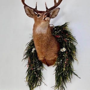K&ouml;nnte beinhalten: Ein pr&auml;parierter Hirschkopf mit gro&szlig;en Geweihen ist an einer wei&szlig;en Wand befestigt. Der Hirsch ist mit einer Girlande aus Gr&uuml;n, kleinen wei&szlig;en Bl&uuml;ten und roten Akzenten geschm&uuml;ckt, was eine dekorative und rustikale &Auml;sthetik schafft.