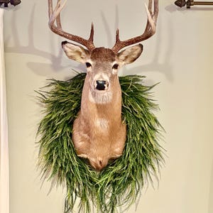 Sawgrass oval wreath designed to frame a mounted deer