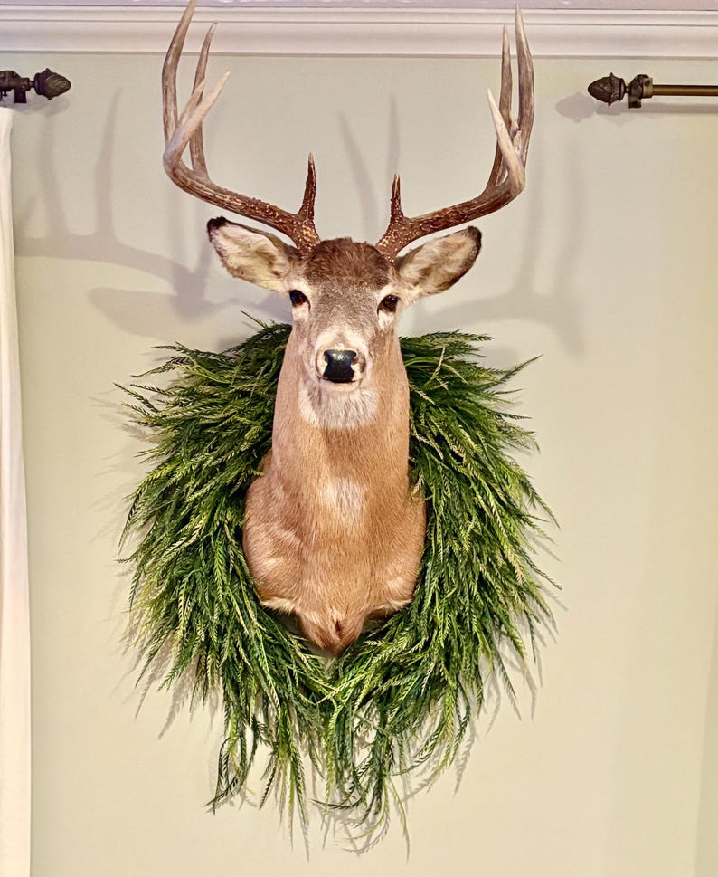 Sawgrass oval wreath designed to frame a mounted deer