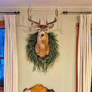 Rustic lodge greenery styled around a mounted buck (deer not included)