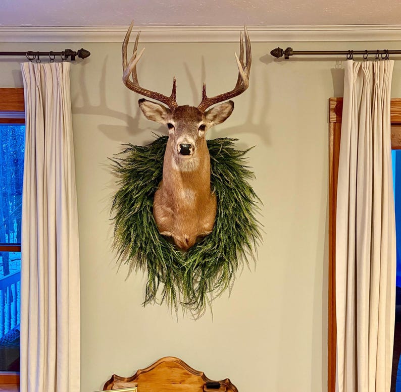 Rustic lodge greenery styled around a mounted buck (deer not included)