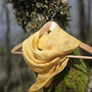 May include: A golden-yellow silk scarf displayed on a wooden hanger. The scarf's soft, flowing fabric is draped, with a blurred background of green moss and tree branches. The scarf's color is consistent throughout.